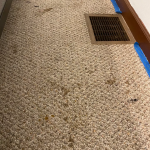 Dirty Carpet Before Cleanup